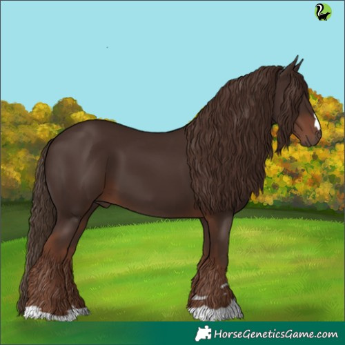 Horse Color:Liver Chestnut 