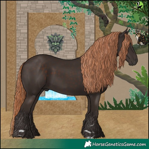 Horse Color:Liver Chestnut 