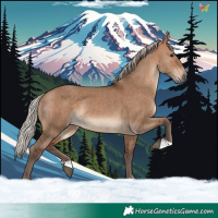 Horse Color:Silver Brown Dun 