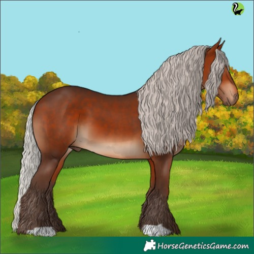 Horse Color:Silver Bay 