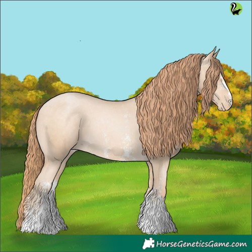 Horse Color:Buckskin Pearl Sabino Appaloosa 
