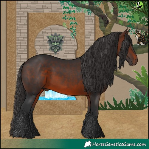Horse Color:Brown 
