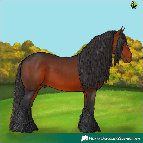 Horse Color:Brown 