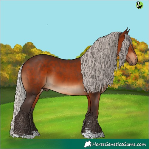 Horse Color:Silver Brown 