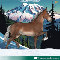 Horse Color:Silver Bay 