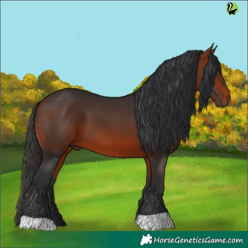 Horse Color:Brown 