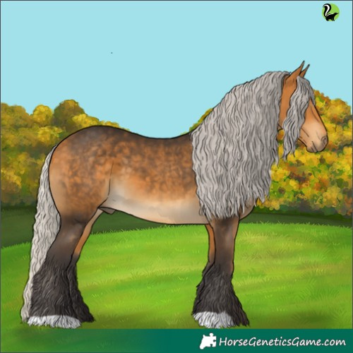 Horse Color:Silver Buckskin 