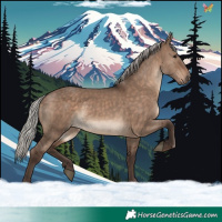 Horse Color:Silver Brown Dun 