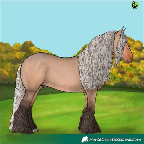 Horse Color:Silver Brown Dun 