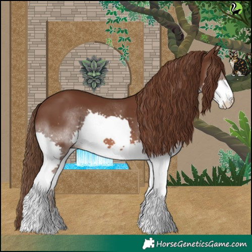 Horse Color:Liver Chestnut Splash 