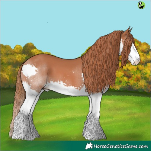 Horse Color:Chestnut Splash 