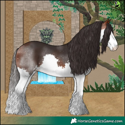 Horse Color:Bay Splash 
