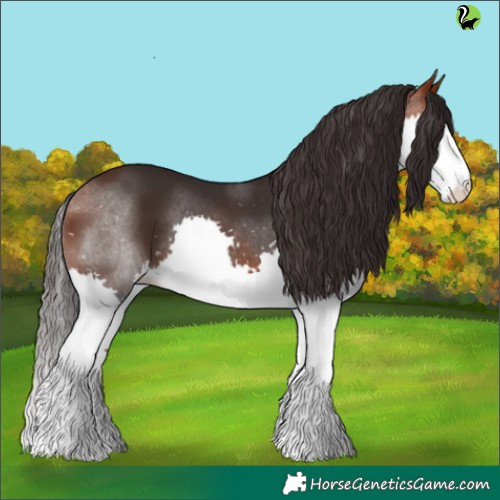 Horse Color:Bay Splash 