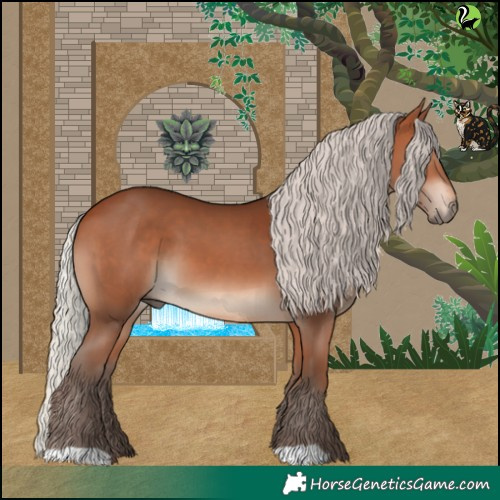 Horse Color:Silver Brown 