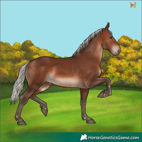 Horse Color:Silver Brown 