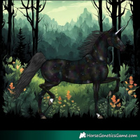 Horse Color:Midnight Black