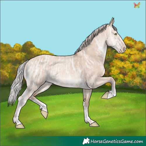 Horse Color:Silver Sable Champagne Ice Dun Sabino Rabicano 