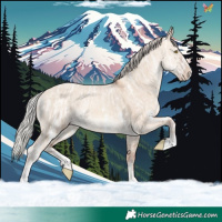 Horse Color:Silver Sable Champagne Ice Dun Sabino Rabicano 