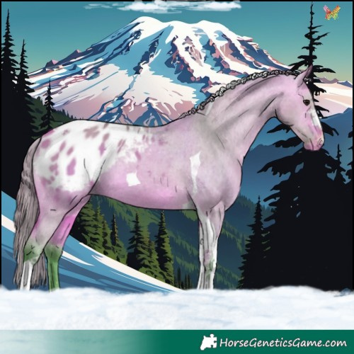 Horse Color:Watercolor Bay Dun Tobiano Blanket