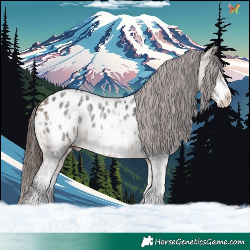 Horse Color:Bay Ice Sabino Appaloosa 