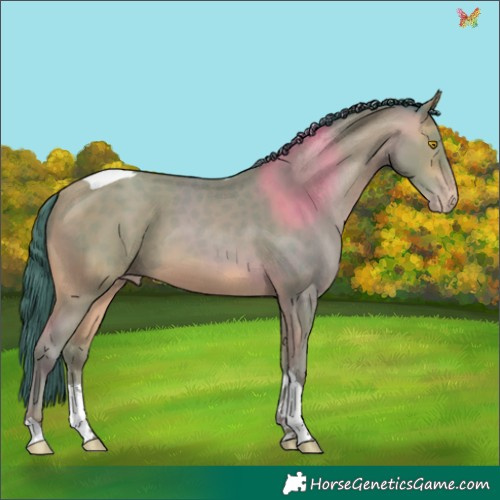 Horse Color:Watercolor Amber Champagne Sabino Tobiano Rabicano 