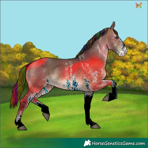 Horse Color:Painted White Spotted Bay Dun
