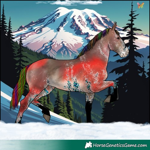 Horse Color:Painted White Spotted Bay Dun 