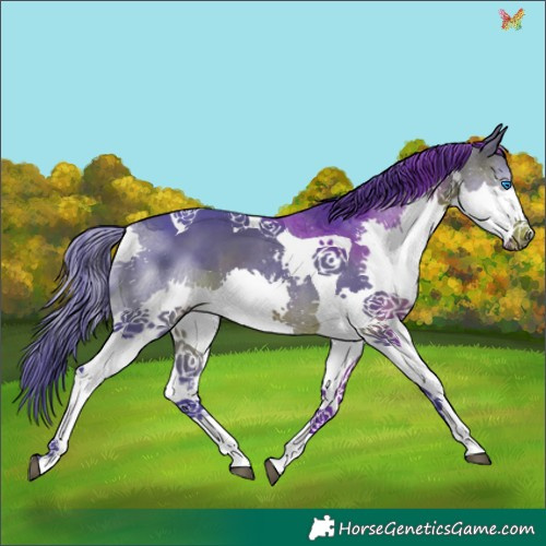 Horse Color:Watercolor Brown Splash Tobiano 
