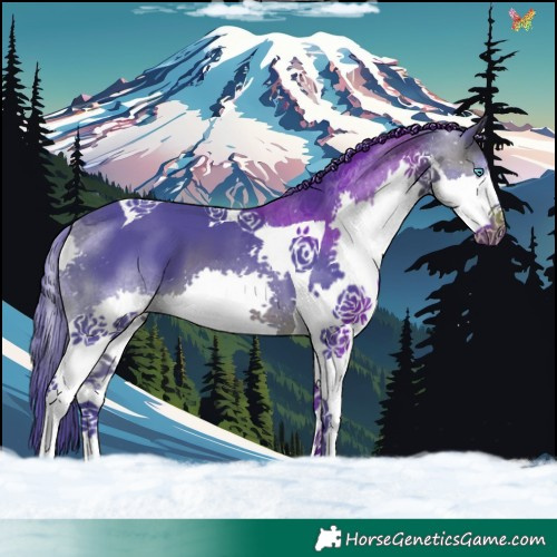 Horse Color:Watercolor Brown Splash Tobiano 