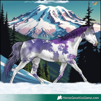 Horse Color:Watercolor Brown Splash Tobiano 