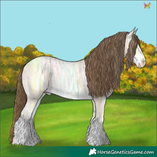 Horse Color:Amber Cream Champagne Ice Sabino 