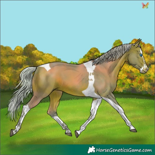 Horse Color:Watercolor Silver Brown Splash Tobiano 