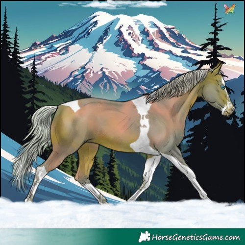 Horse Color:Watercolor Silver Brown Splash Tobiano