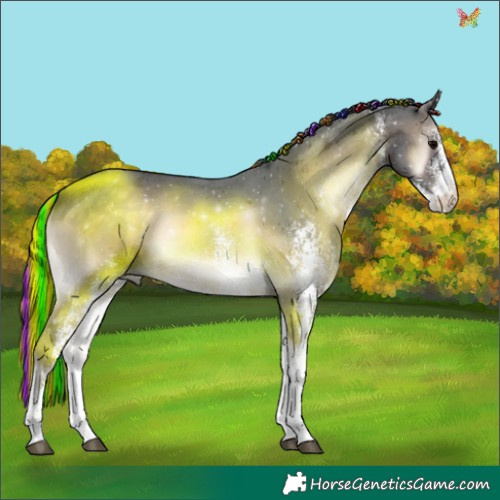 Horse Color:Painted White Spotted Brown Onyx 