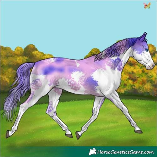Horse Color:Watercolor Brown Splash Tobiano