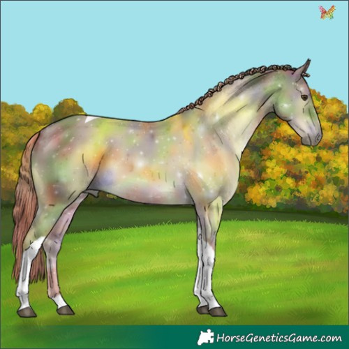 Horse Color:Nacre Liver Red Dun Tobiano 