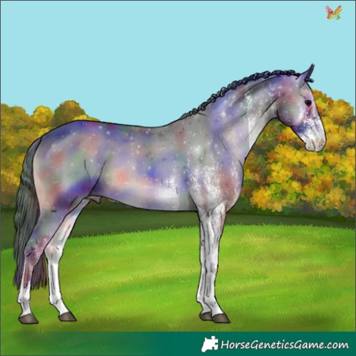 Horse Color:Nacre White Spotted Blue Onyx 