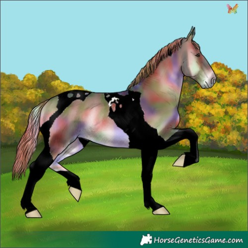 Horse Color:Nacre Liver Red Onyx Tobiano Rabicano