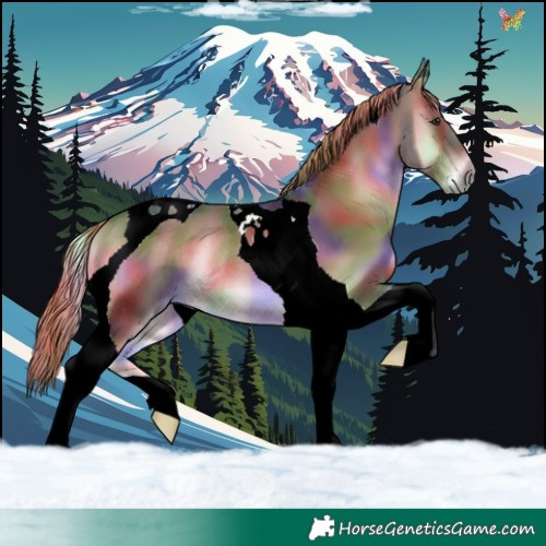 Horse Color:Nacre Liver Red Onyx Tobiano Rabicano