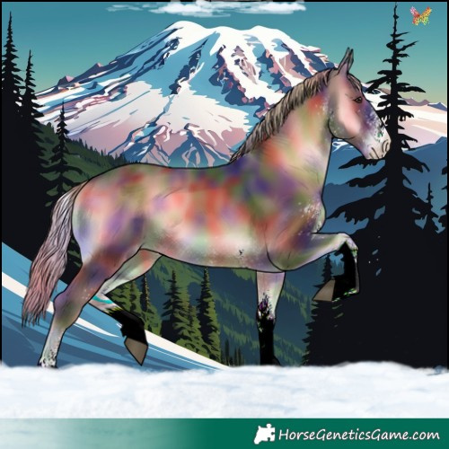 Horse Color:Nacre White Spotted Liver Red Onyx Rabicano