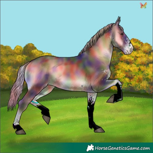Horse Color:Nacre White Spotted Liver Red Onyx Rabicano