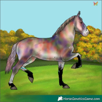 Horse Color:Nacre White Spotted Liver Red Onyx Rabicano 