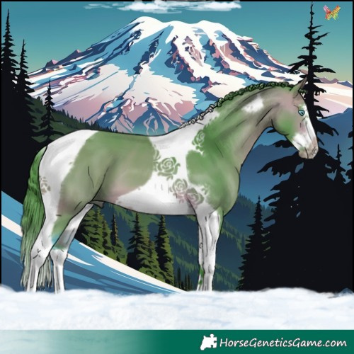Horse Color:Watercolor Bay Splash Tobiano Frame 