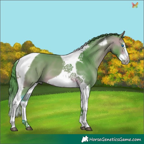 Horse Color:Watercolor Bay Splash Tobiano Frame 