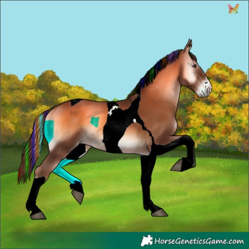 Horse Color:Painted Red Onyx Tobiano