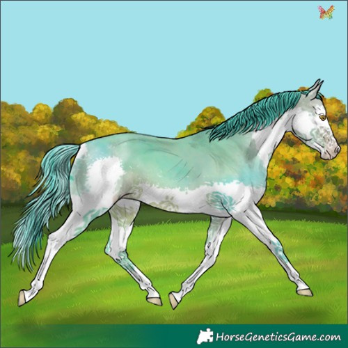 Horse Color:Watercolor Sable Champagne Splash Tobiano 
