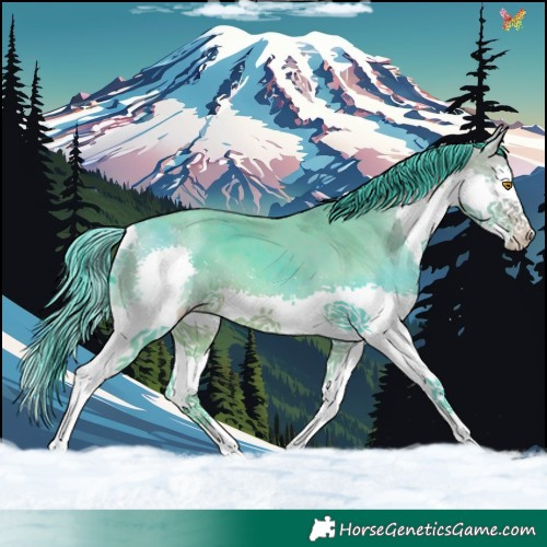 Horse Color:Watercolor Sable Champagne Splash Tobiano 