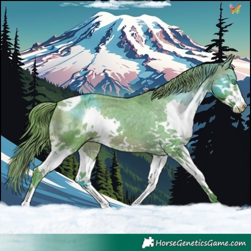 Horse Color:Watercolor Bay Splash Tobiano Appaloosa 