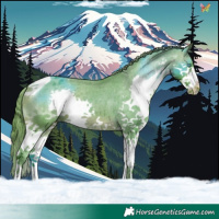 Horse Color:Watercolor Bay Splash Tobiano Appaloosa 