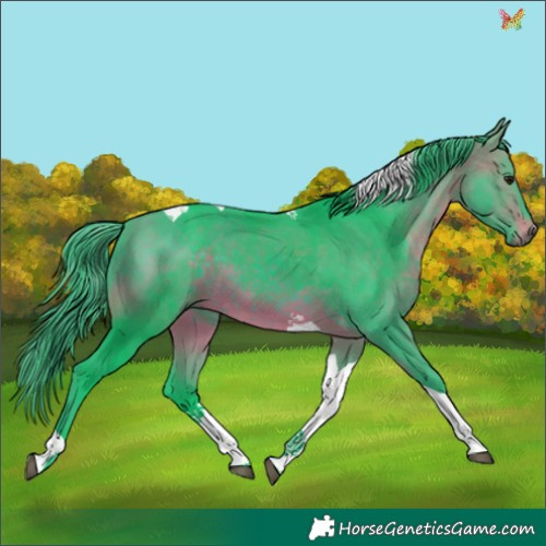 Horse Color:Watercolor Brown Tobiano